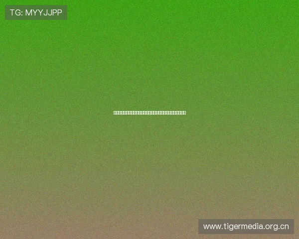 以纬来为核心打造多元内容生态引领未来数字媒体新格局探索之路